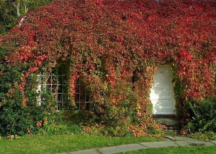 Engo Gard & Restaurant