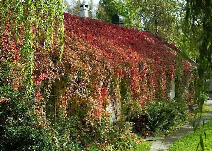 Engo Gard & Restaurant